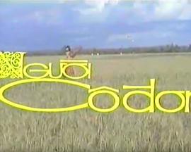 孤独者 Người cô đơn