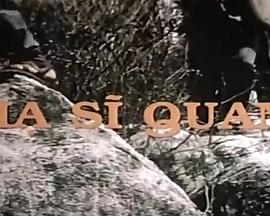 下士官 Hạ sĩ quan