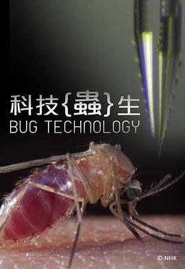 科技虫生 Bug Technology