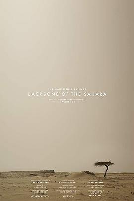 毛里塔尼亚铁路：撒哈拉的脊骨 The Mauritania Railway: Backbone of the Sahara