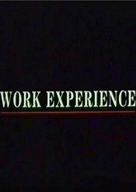 工作经历 Work Experience