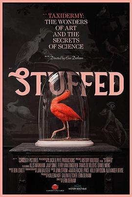 充满了 Stuffed