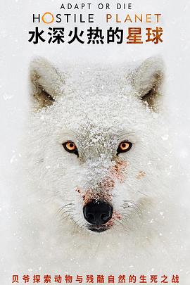水深火热的星球 Hostile Planet