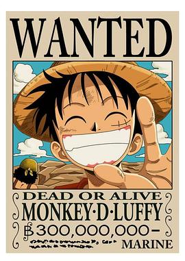 海贼王特别篇2路飞的绝技 海贼王SP02  路飞的绝技