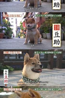 可爱的豆助 豆助っていいな ​