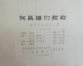 向英雄们致敬——中央慰问团在广西