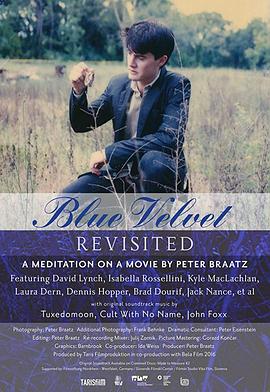 重访蓝丝绒 Blue Velvet Revisited