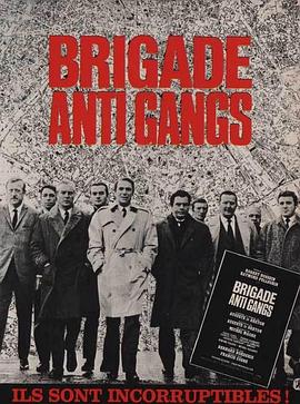 反黑突击队 Brigade Anti Gangs