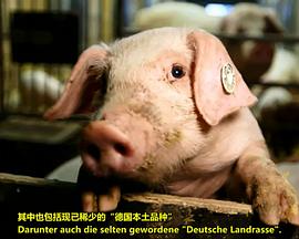 我们的香肠有多棒？ Wie gut sind unsere Wurstwaren?
