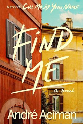 未定名请以你的名字呼唤我续集 Untitled Call Me by Your Name Sequel
