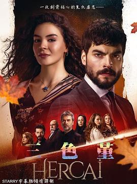 三色堇 第一季 Hercai Season 1