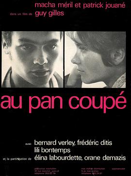 墙上的雕刻 Au pan coupé