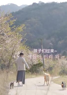 具惠善的宠物日记 구혜선의 반려일기