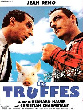 一个傻瓜在巴黎 Les truffes