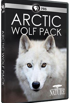 北极狼群 Arctic Wolf Pack