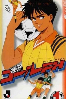 足球王 ゴールFH