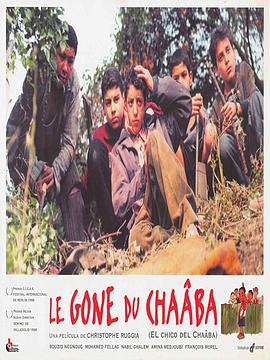 贫民窟的孩子 le gone du chaaba