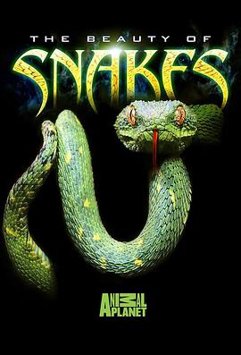 蛇之惊艳奇观 THE BEAUTY OF SNAKES