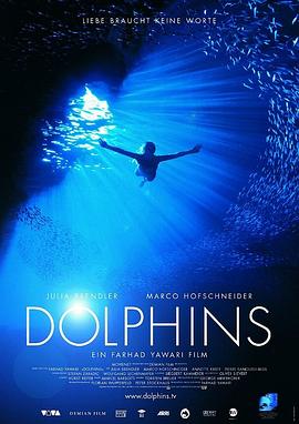 海豚 Dolphins