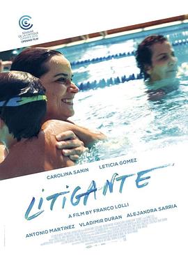 诉讼人 Litigante