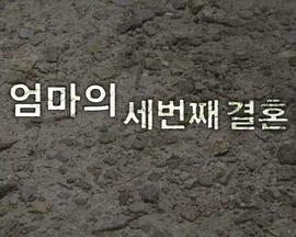 妈妈的第三次婚姻 엄마의 세 번째 결혼