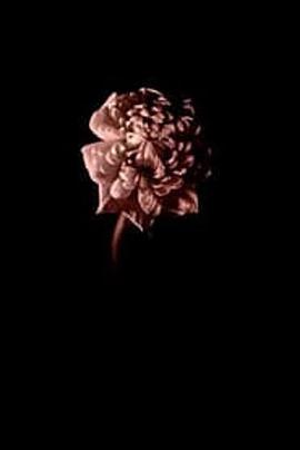 花之绽放 The Birth of a Flower