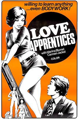 学徒报告 Lehrmädchen-Report