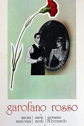 红色康乃馨 Garofano rosso