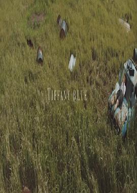 蒂芙尼蓝 TIFFANY BLUE
