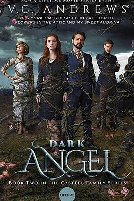 暗黑天使 Dark Angel
