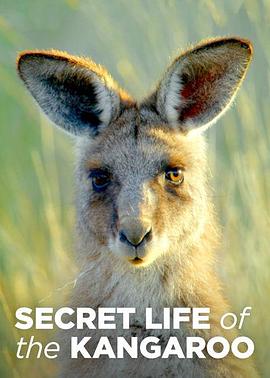 袋鼠的秘密生活 第一季 Secret Life of the Kangaroo Season 1