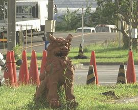 纪实72小时：冲绳·驾校 准驾之后的期盼 ドキュメント72時間「沖縄・自動車学校 免許の先に見る夢は」