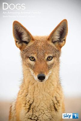 神奇的犬科家族 第一季 Dogs: An Amazing Animal Family Season 1