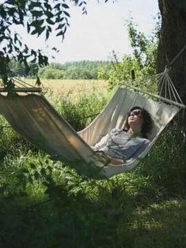 午睡的艺术 The Art of Napping