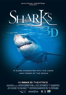 鲨鱼3D Sharks 3D