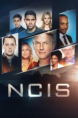 海军罪案调查处 第十七季 NCIS: Naval Criminal Investigative Service Season 17