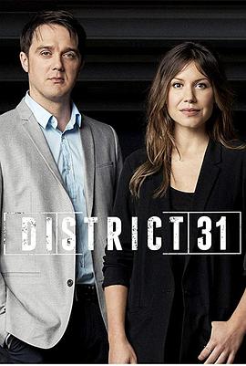 第31区 第一季 District 31 Season 1