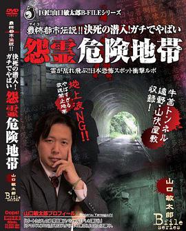 最怖都市伝説!!決死の潜入!ガチでやばい怨霊危険地帯 怨霊が乱れ飛ぶ!!日本恐怖スポット衝撃ルポ 山口敏太郎B-FILE