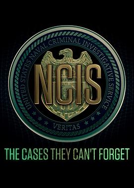 48小时：海军罪案调查处 第二季 48 Hours: NCIS Season 2