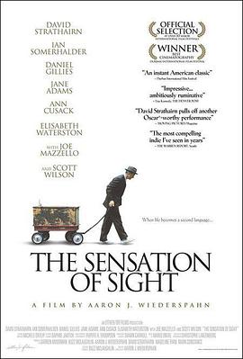 内心的幽灵 The Sensation of Sight