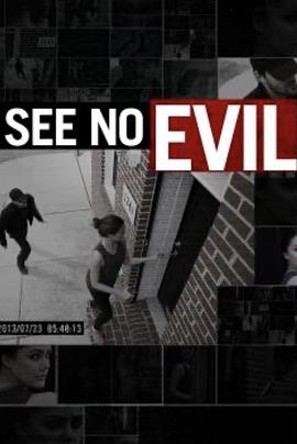 监视器罪案 第二季 See No Evil Season 2