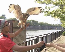 纪实72小时 夏末的大阪城公园 ドキュメント72時間「夏の終わり ぐるっと大阪城公園」
