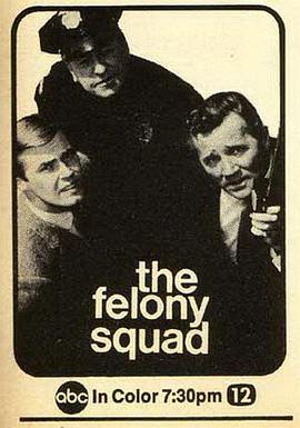 重案组 Felony Squad