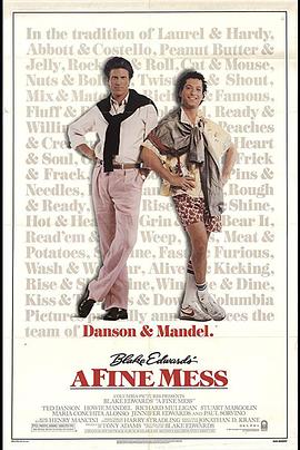 活宝战争 A Fine Mess