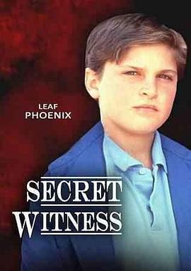 秘密证人 Secret Witness
