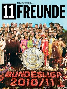 2010-2011赛季 德国足球甲级联赛 2010-2011 Bundesliga