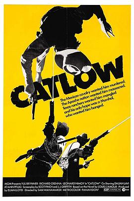 盗宝智多星 Catlow