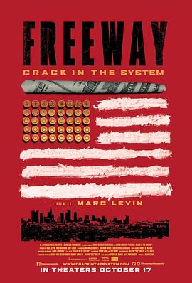 快克之王高速：体制漏洞 Freeway: Crack in the System