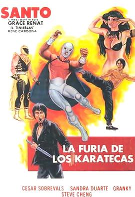 空手道杀手之怒 La furia de los karatecas