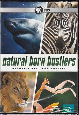 天生骗徒 Natural Born Hustlers